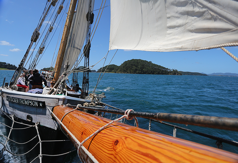 Sail on the R Tucker Thompson, Bay of Islands, NZ
